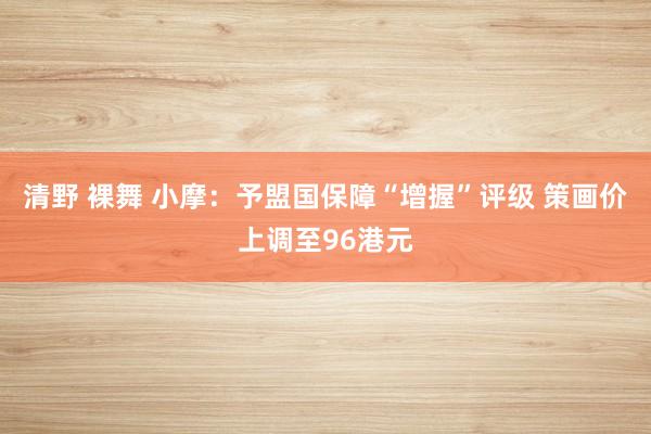 清野 裸舞 小摩：予盟国保障“增握”评级 策画价上调至96港元