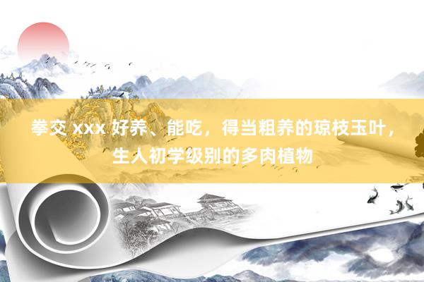 拳交 xxx 好养、能吃，得当粗养的琼枝玉叶，生人初学级别的多肉植物